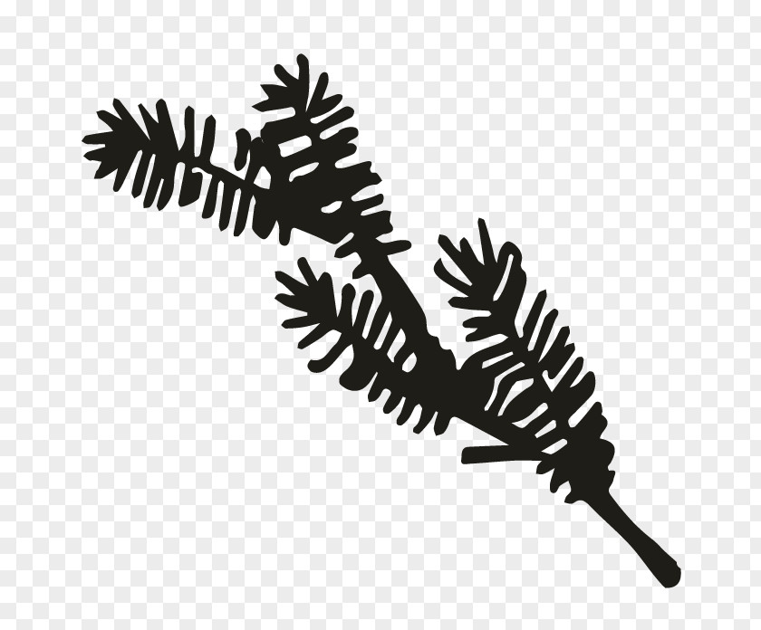 Pine Boughs Monochrome Photography Tree Silhouette Clip Art PNG