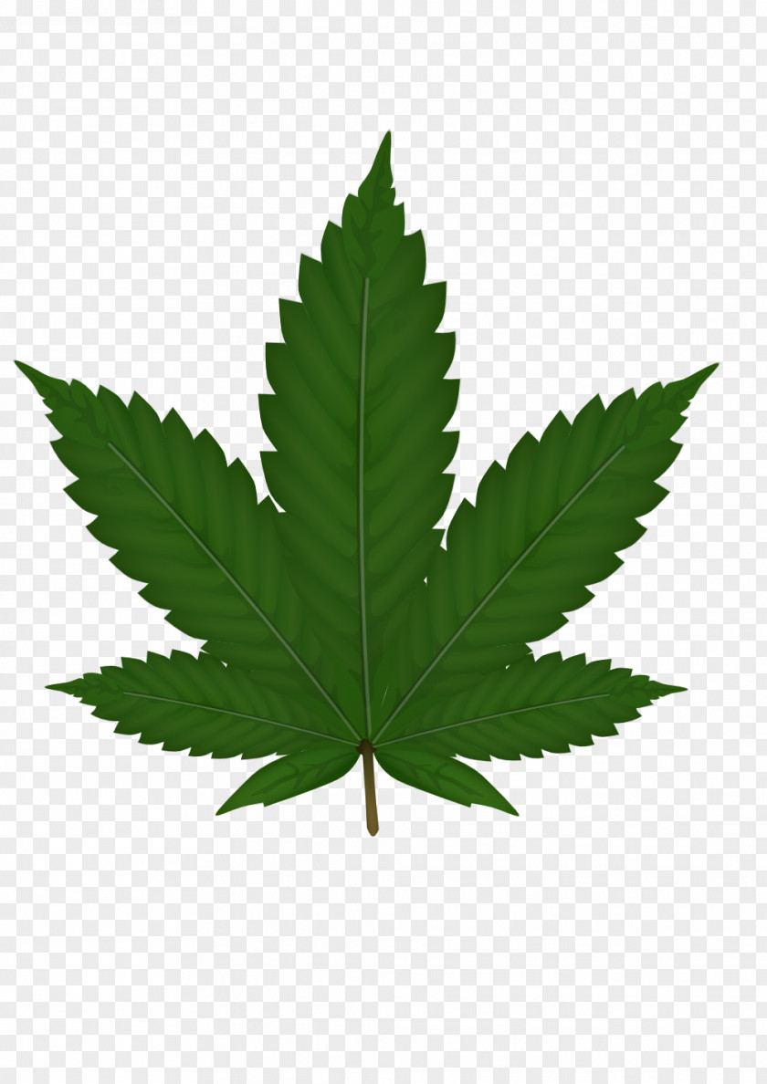 Cannabis Sativa Leaf Clip Art PNG