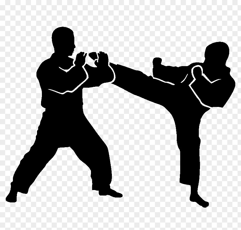 Silhouette Drawing Martial Arts PNG