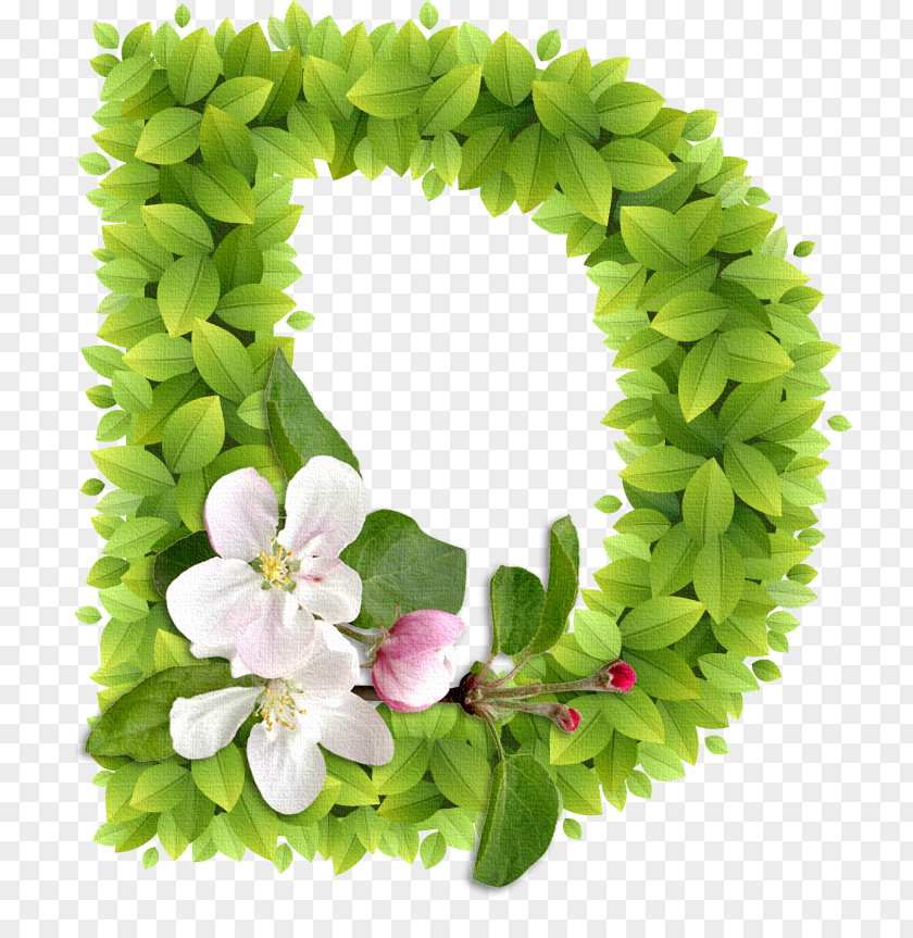 Word Lettering Floral Design Alphabet PNG