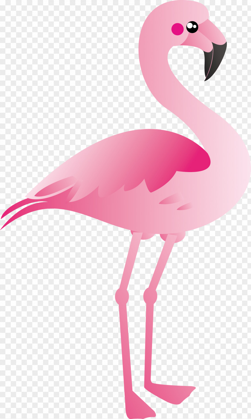 Cartoon Flamingo Vector Plastic Clip Art PNG