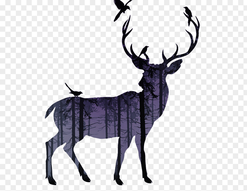 Deer White-tailed Reindeer Moose Elk PNG