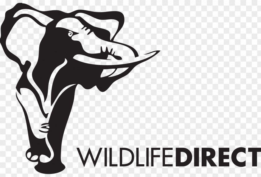 Elephants Lewa Wildlife Conservancy WildlifeDirect Conservation Organization PNG