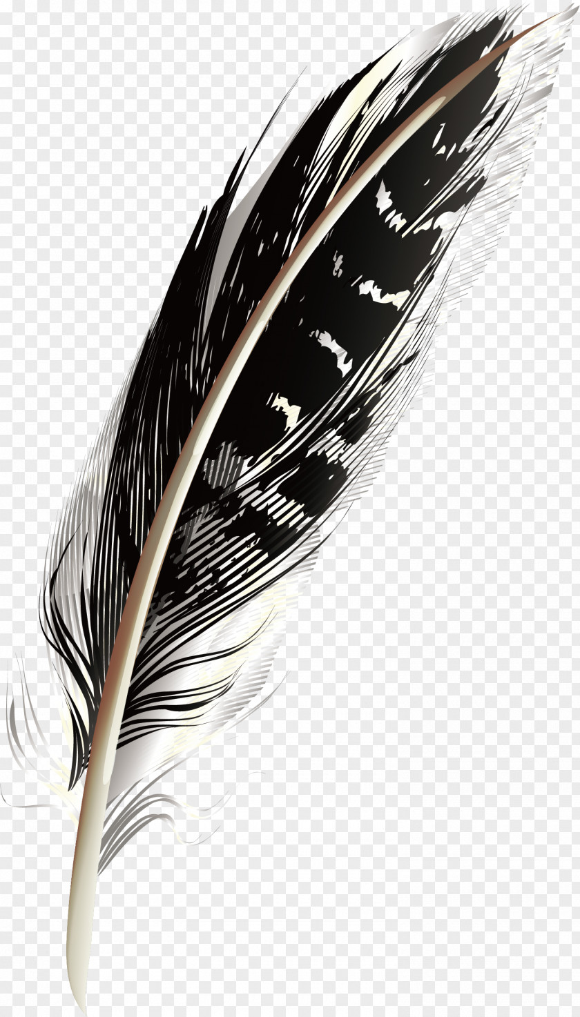 A Black Pattern Feathers Feather PNG