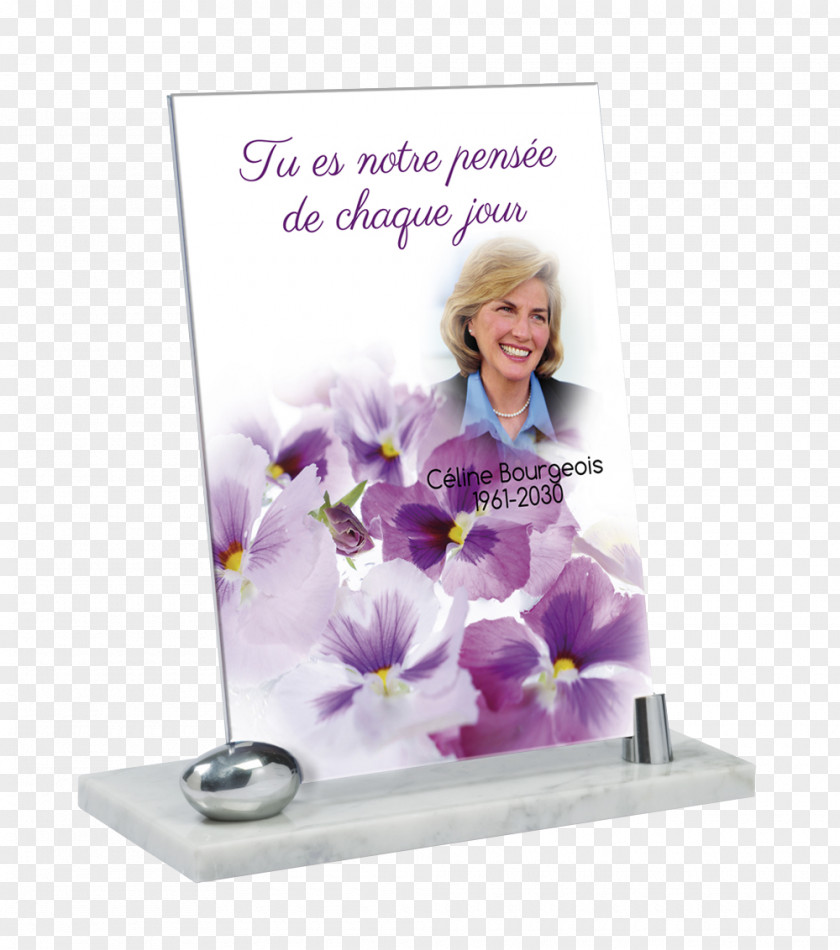 Award Plaques Floral Design Picture Frames PNG