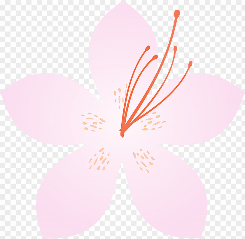 Azalea Spring Flower PNG