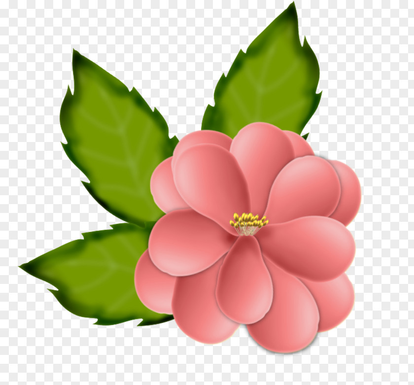 Blumen Flower Drawing PNG