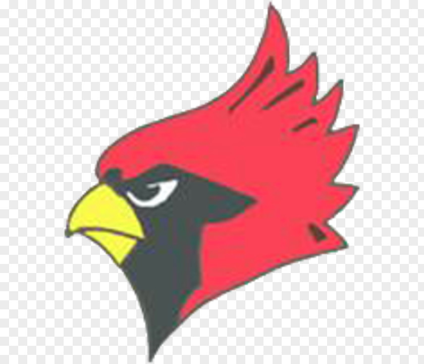Cardinal Clipart Warrensburg-Latham High School Middle National Secondary Maroa PNG