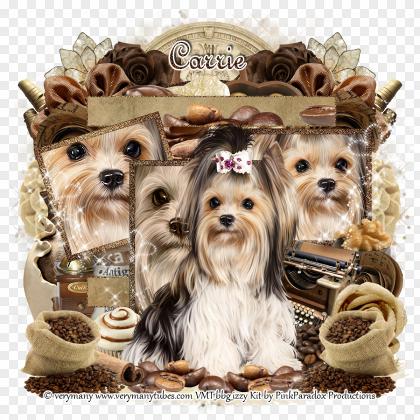 Puppy Yorkshire Terrier Morkie Dog Breed Companion PNG