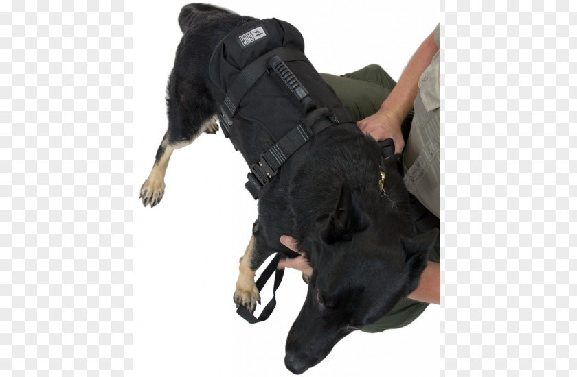 Dog Harness Search And Rescue Police Leash PNG