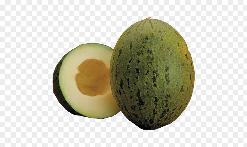 Hami Melon Galia Honeydew Cantaloupe Watermelon PNG
