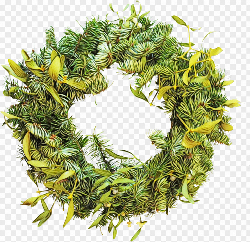 Herb Rosemary Christmas Decoration PNG