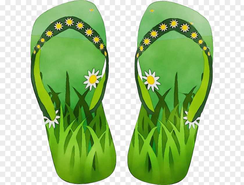 Plant Shoe Green Grass Background PNG