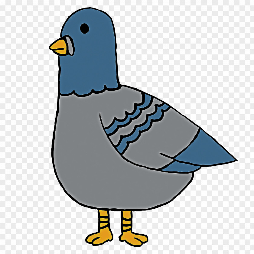 Rock Dove Pigeons And Doves Bird Beak Clip Art PNG
