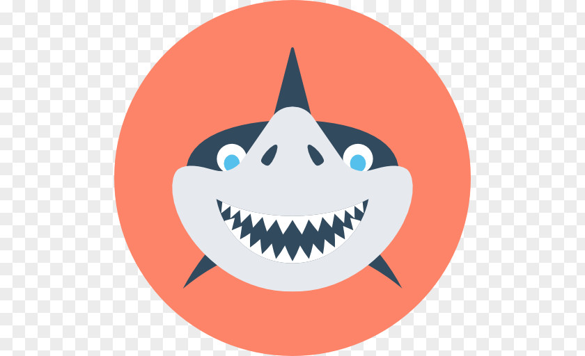 Shark Icon Whale Clip Art PNG