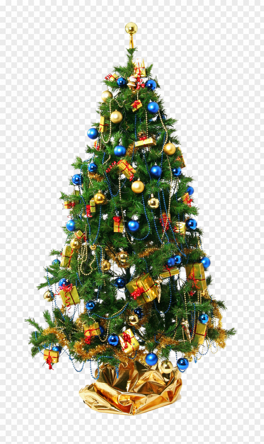 Christmas Tree Day Santa Claus Gift PNG