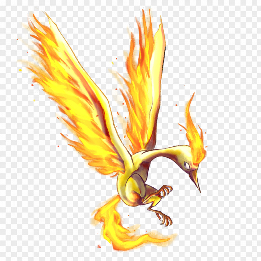 Firebird Badge Moltres Drawing Image Hashtag Delcatty PNG