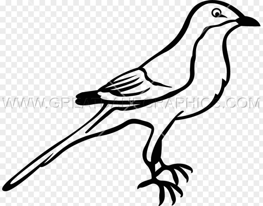 Mockingbird To Kill A Drawing Northern Clip Art PNG