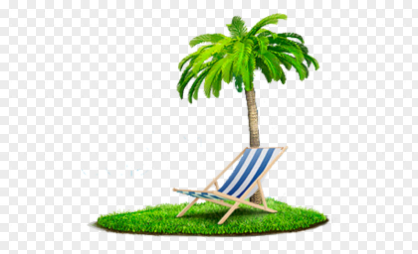 Palm, Chair, Beach Shore PNG