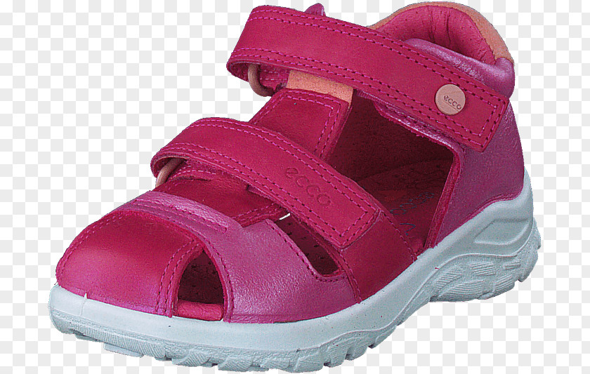 Sandal Shoe Cross-training PNG