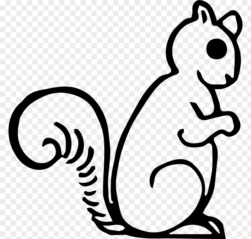 Sky Squirrel Cat Chipmunk Rodent Clip Art PNG