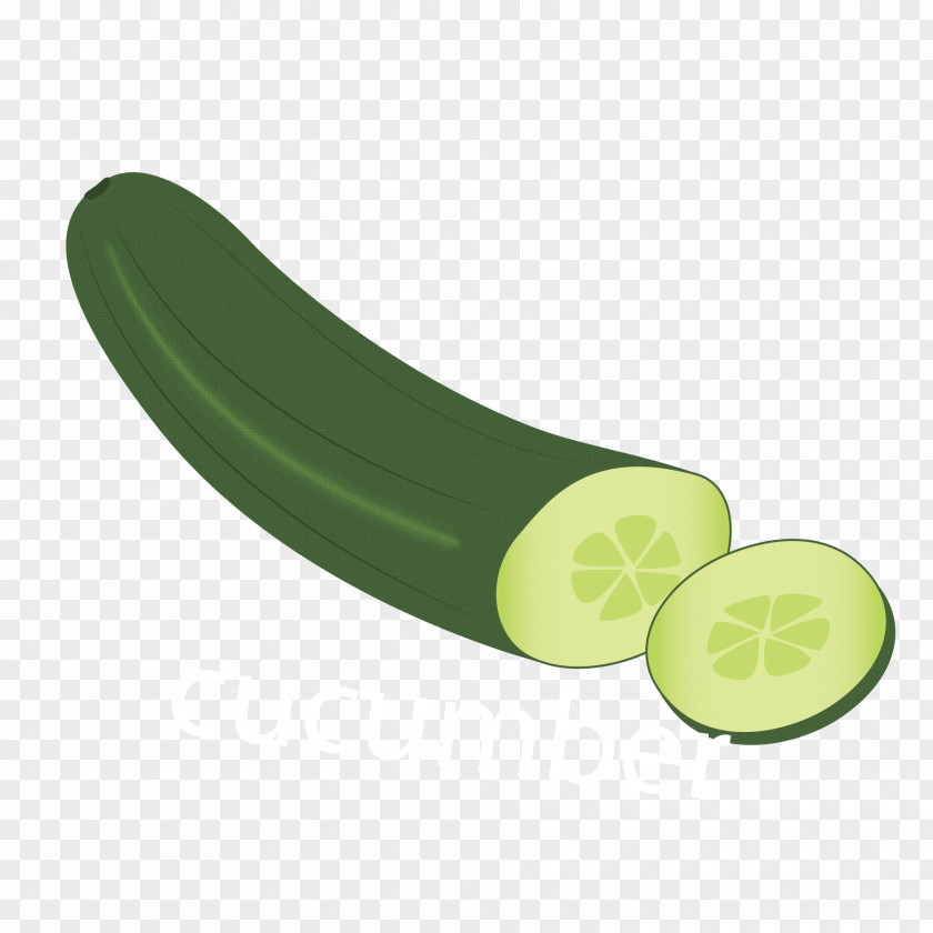 Vector Cucumber Euclidean PNG