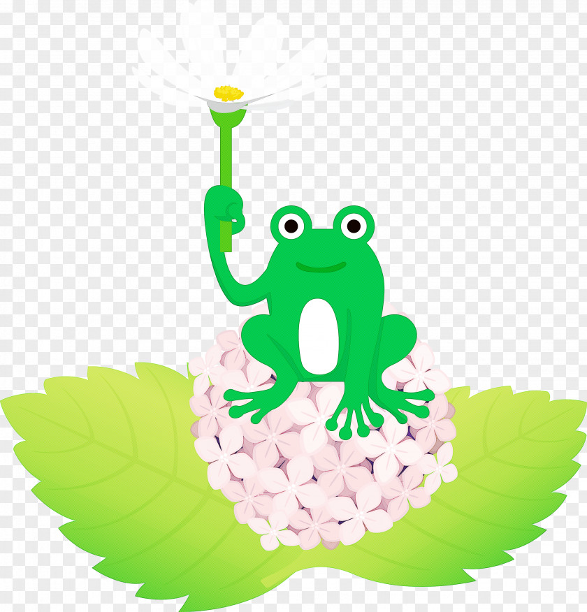 Frogs Cartoon Tree Frog Green Science PNG