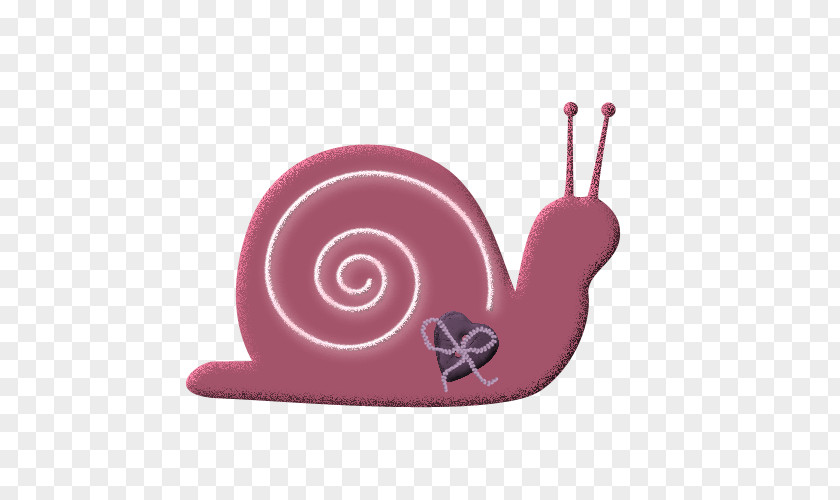 Pink Snail Icon PNG