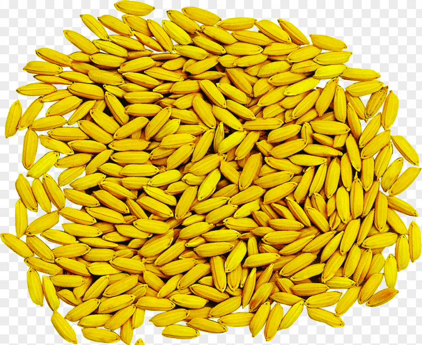 Rice Pictures Cereal Germ Mixture PNG