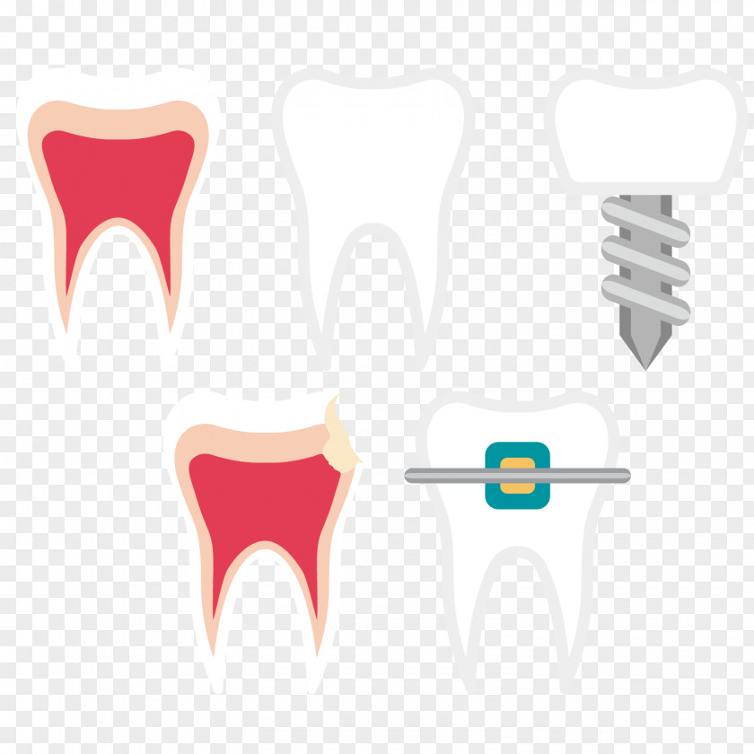 Vector Dental Teeth Tooth Dentistry Euclidean PNG