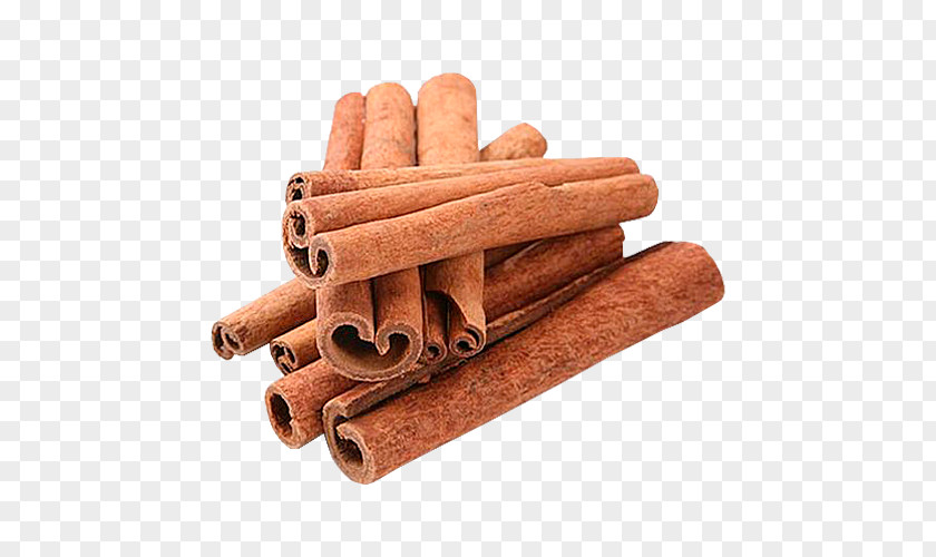 Cinnamon Psd Files True Tree Roll Chinese Spice PNG