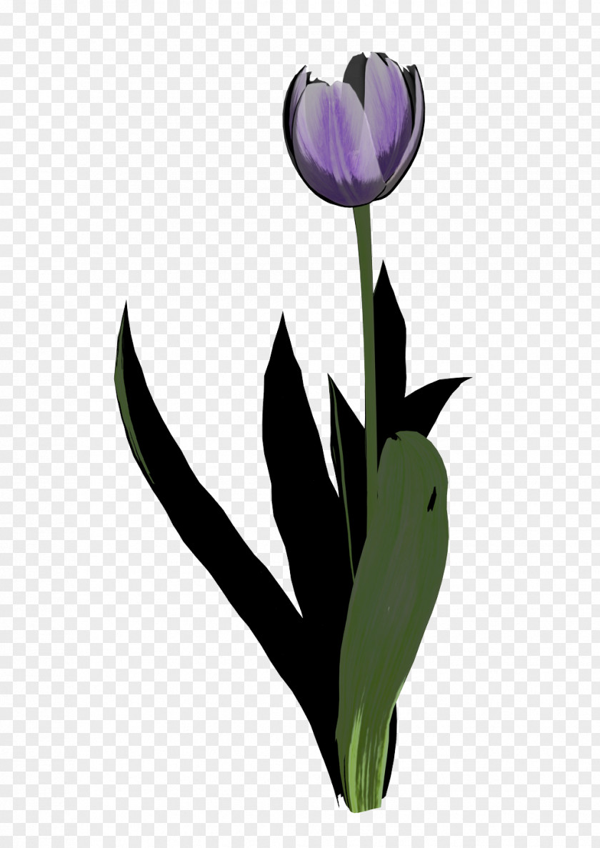 High Clipart Clip Art Tulip Graphics Image Bing PNG
