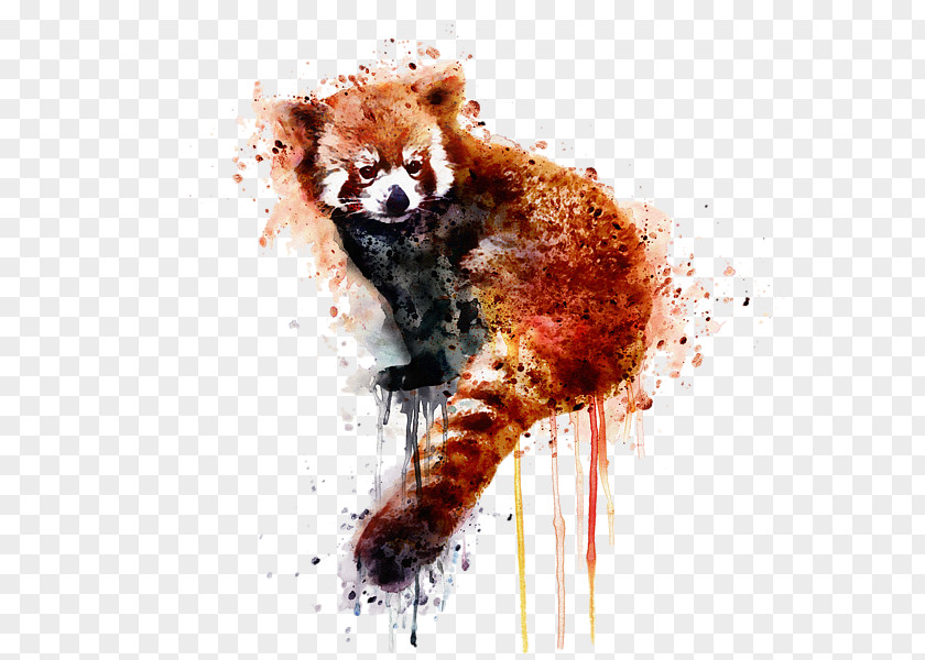 Painting Red Panda Giant Watercolor Art PNG