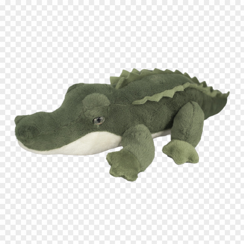 Children's Toys Material Alligators Terrestrial Animal PNG
