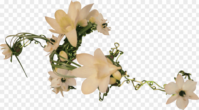 Flower Floral Design Cut Flowers Blog PNG