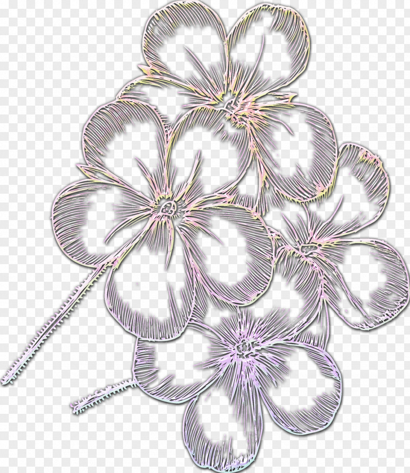 Flower Petal Cut Flowers Clip Art PNG