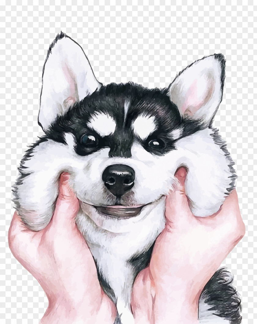 Husky Vector Siberian Wallpaper PNG