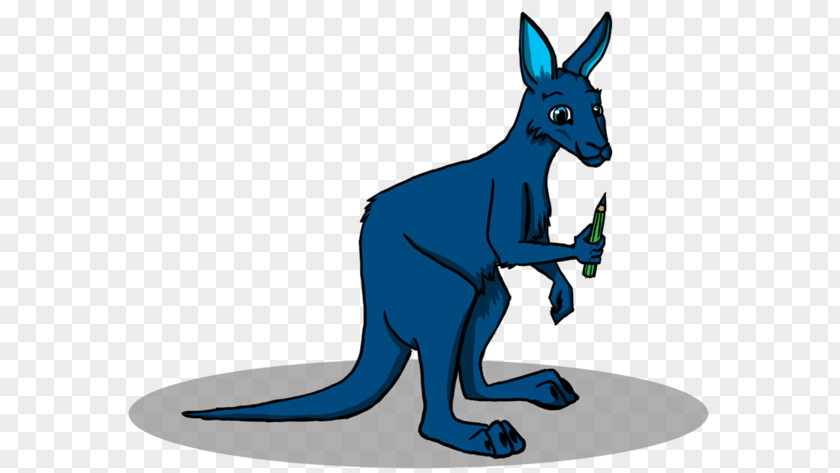 Kangaroo Koala Drawing Clip Art PNG