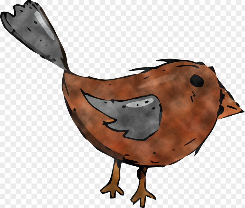 Landfowl Duck Beak Birds Rooster PNG