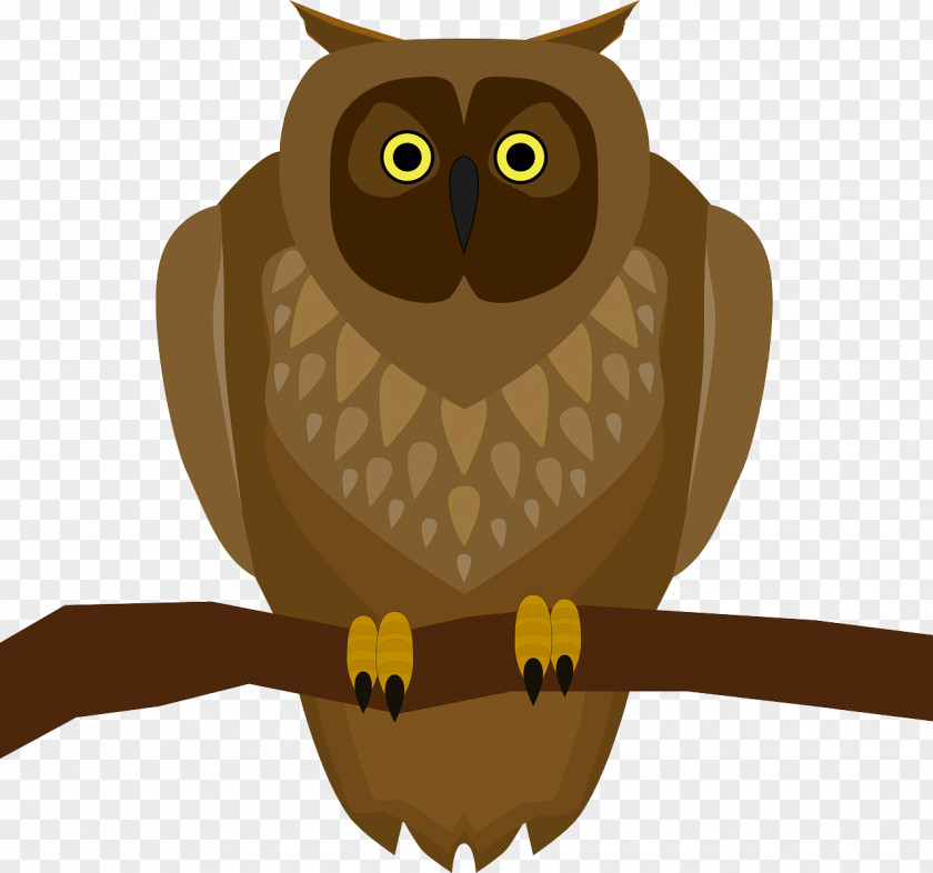 Owls Owl Bird Clip Art PNG