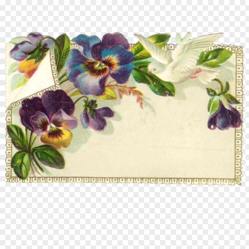 Pansies Floral Design Pansy Violet Clip Art PNG