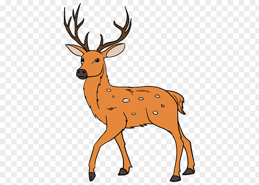 Sika Deer White-tailed Drawing Antler Painting PNG