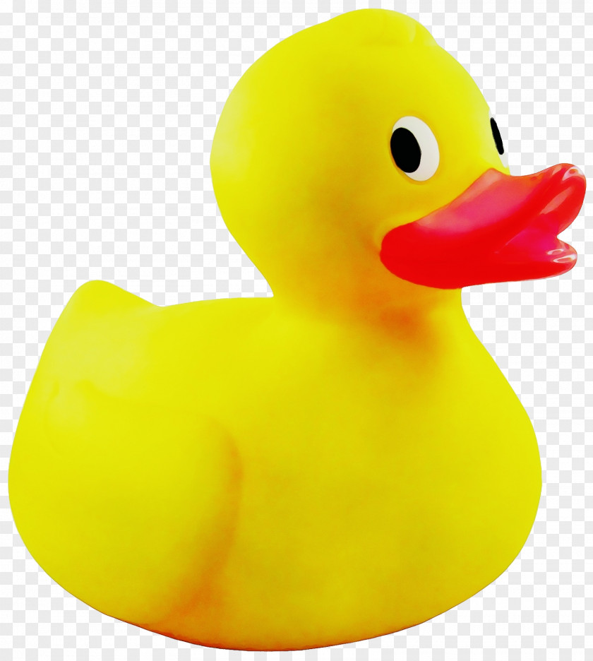 Waterfowl Beak Rubber Ducky Bath Toy Duck Yellow PNG