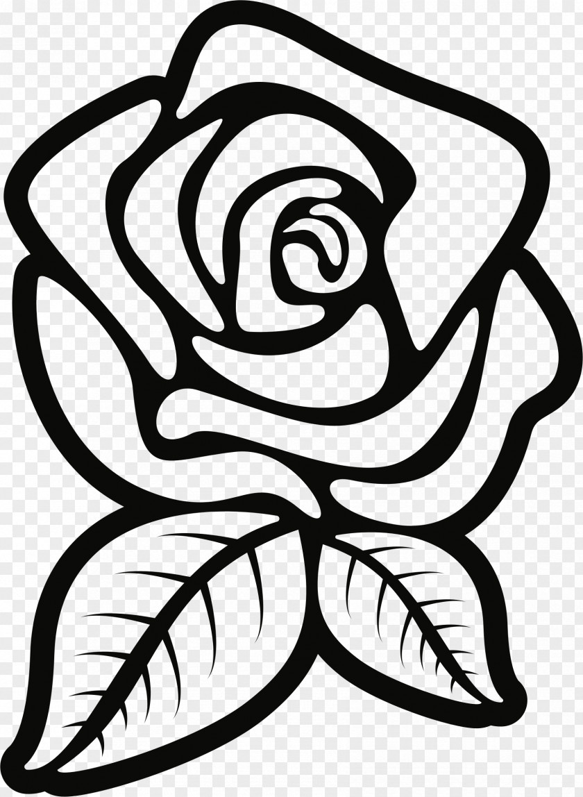 Black And White Rose Drawing Clip Art PNG