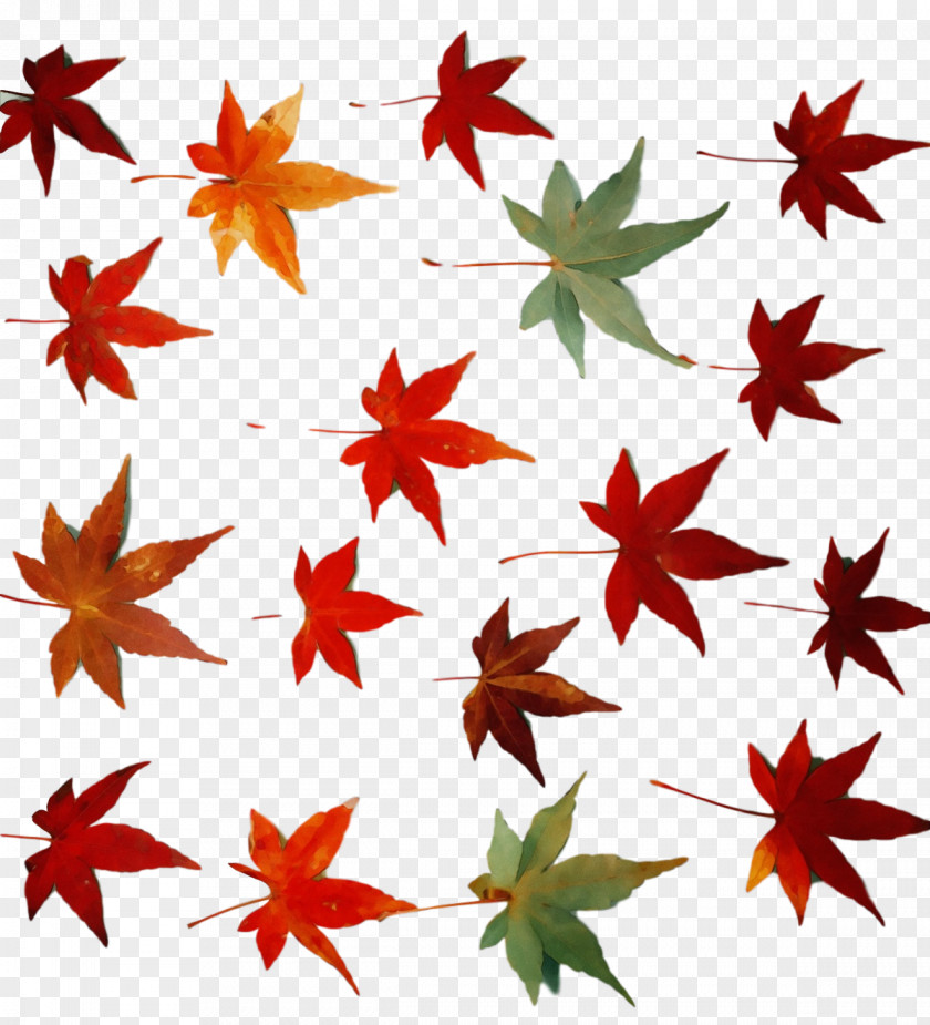 Leaf Flower Maple / M Line Pattern PNG