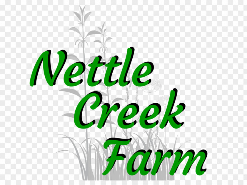 Nettle Chicken 1 Corinthians 15 Common Herb Food PNG