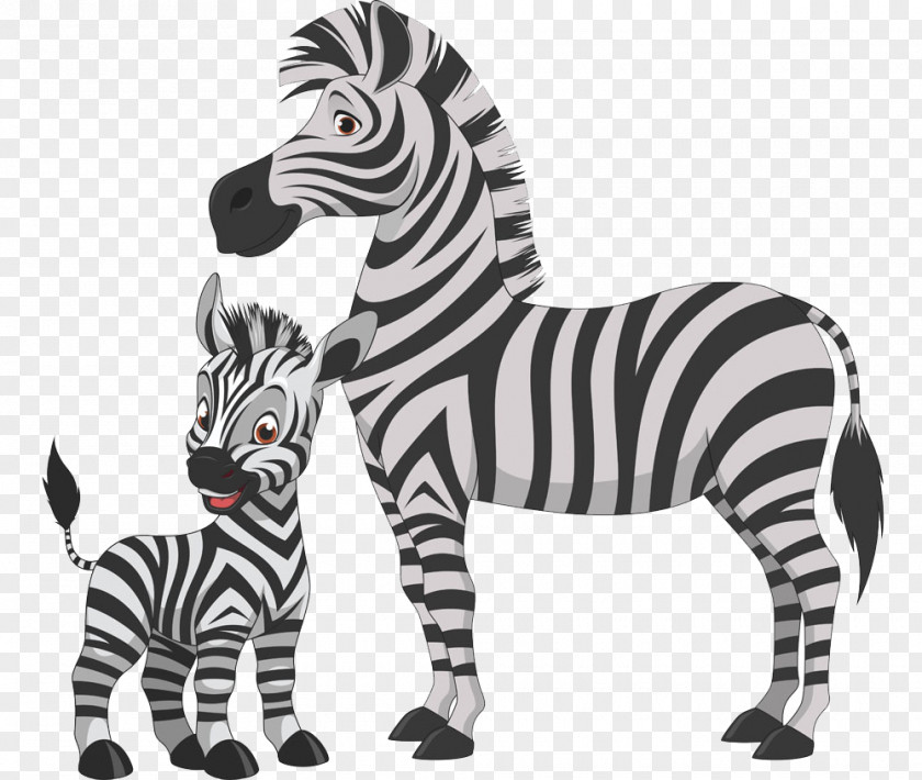 Small Zebra Foal Horse Clip Art PNG