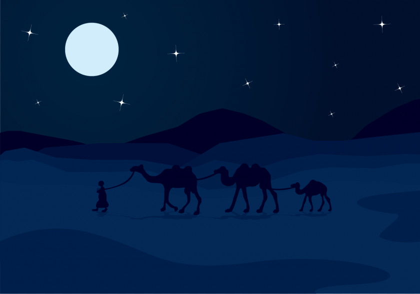 Vector Night Sky Camel Moonlight Illustration PNG