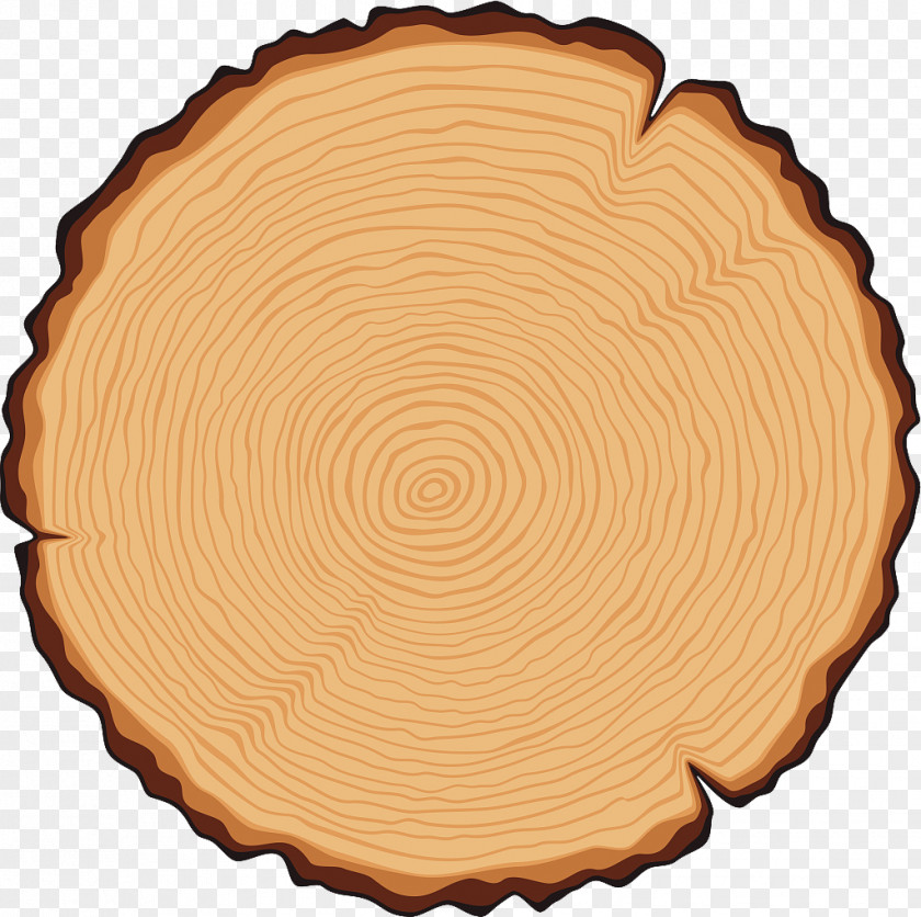 Wood Grain Vector Tree Trunk Cross Section Illustration PNG