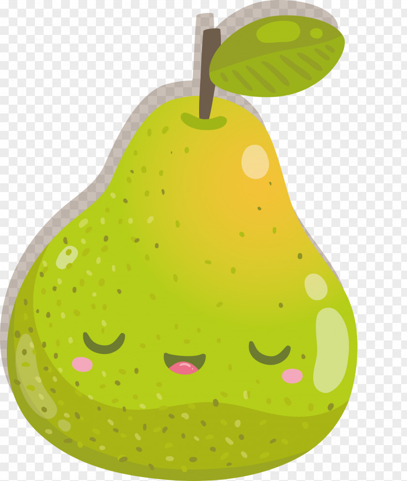 Cartoon Pears Vector European Pear Drawing PNG